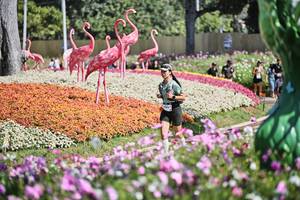 BIB: 
                            <button type="button" onclick="openModal(27793846)" class="btn btn-primary btn-sm float-right btn-popup" data-toggle="modal" data-target=".modal-high-quality">
                        <i class="fas fa-shopping-cart"></i> Add to Cart
                    </button>
                                            <button type="button" onclick="isThisMe(27793846, true)" class="btn btn-success btn-sm float-right btn-popup btn-isme hidden" data-toggle="tooltip" data-placement="bottom" title="นี่คือรูปของคุณใช่ไหม คลิกที่นี่เพื่อเอาเข้าอัลบั้ม">
                        <i class="fas fa-plus"></i> Add to album
                    </button>
                    <button type="button" onclick="isThisMe(27793846, false)" class="btn btn-warning btn-sm float-right btn-popup btn-isnotme hidden">
                        <i class="fas fa-ban"></i> Remove from album
                    </button>